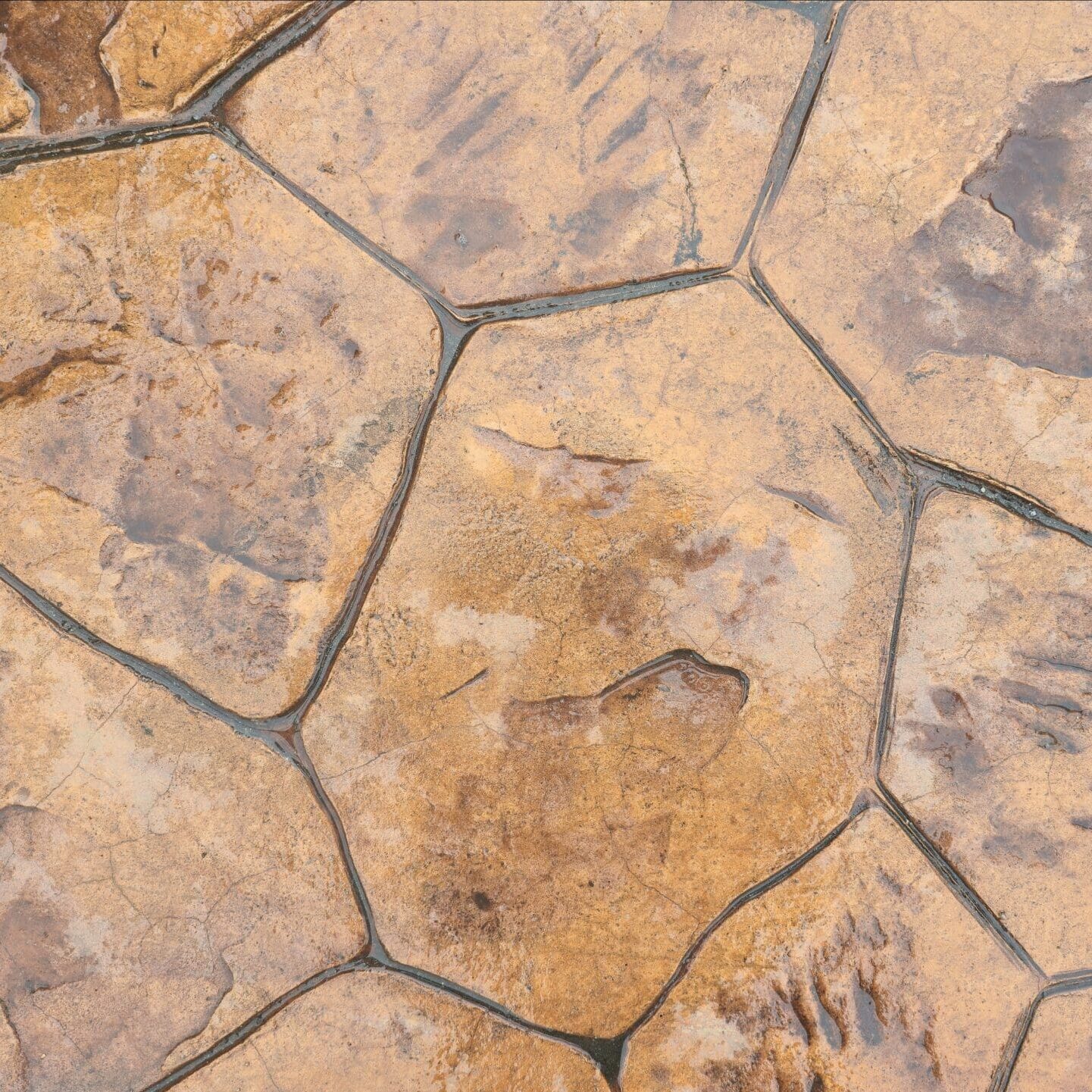 decorative concrete Rogers AR
